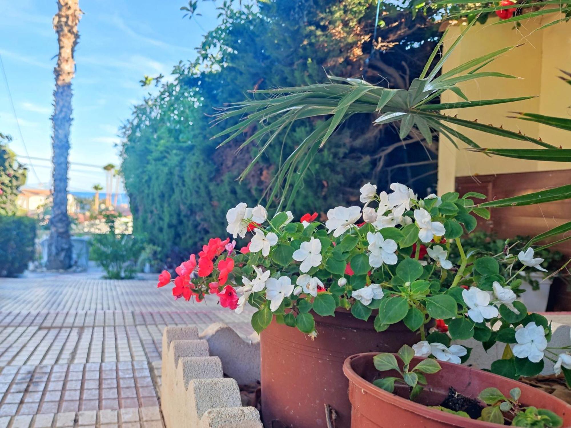 Casona Del Mar Terraza Y Vistas Al Mediterraneo Кампелло Экстерьер фото